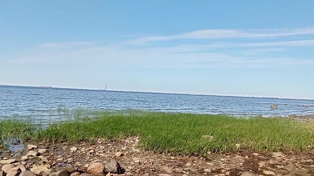 Финский залив. смотреть онлайн