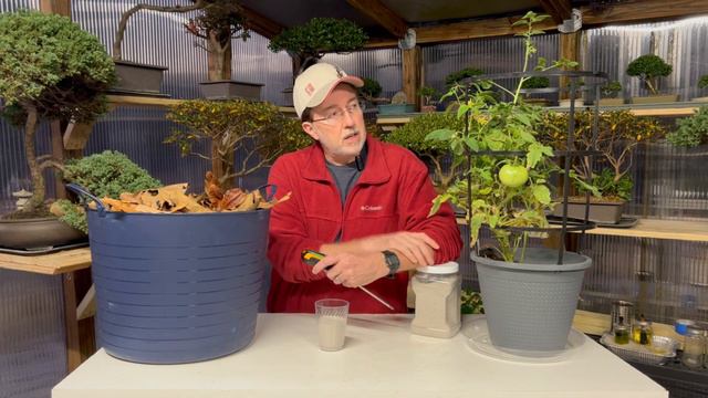 Wood Ash In Your Garden | Success Or Failure Depends On One Thing