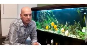 Аквариумистика без границ. В гостях у аквариумистов любителей. Аквариум Артёма из Испании.Выпуск 1.