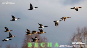 ВРЕМЕНА ГОДА | Обучающее видео | Времена года для детей | Развитие ребенка