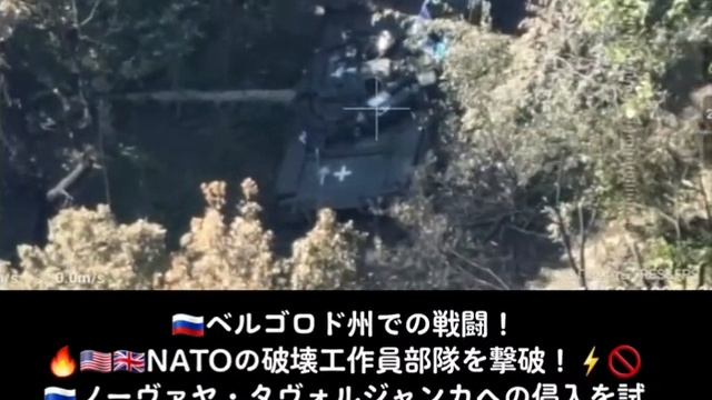 ??ベルゴロド州での戦闘！????NATOの工作員部隊を撃破！ノーヴァヤ・タヴォルジャンカへの侵入を試みたが、戦車1両が炎上し、2両が自爆・放棄！NATO破壊工作員部隊は砲火の中陣地へ撤退 смотреть онлайн