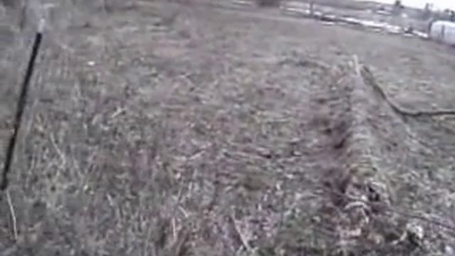 Berry Garden in Western New York - Mysterious Flower смотреть онлайн