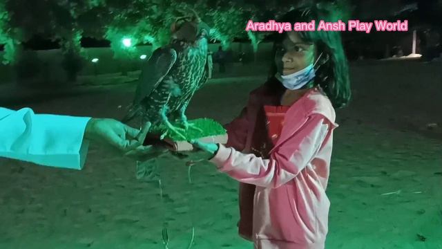 My First Desert SAFARI tour in DUBAI || #bellydance #fireworksshow #camelriding смотреть онлайн