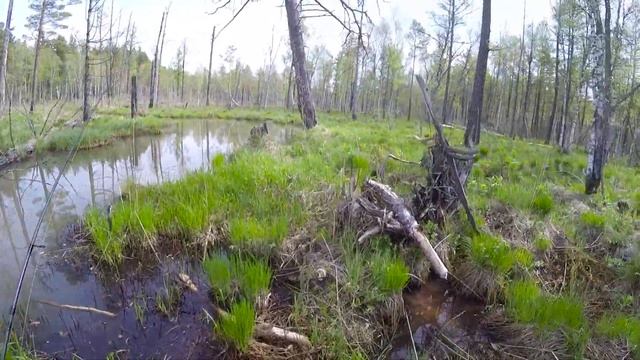 ПРИКЛЮЧЕНИЯ НА ЛЕСНОЙ РЕЧКЕ! Рыбалка которую ждали! ЩУКА НА ВОБЛЕРЫ И ДЖИГ смотреть онлайн