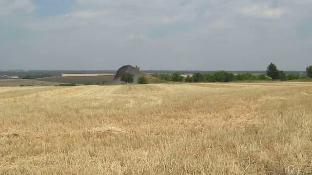 MVI 0079 смотреть онлайн