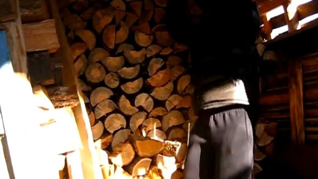 Тест паракорда смотреть онлайн