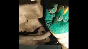 Замена масла в муфте Халдекс 4