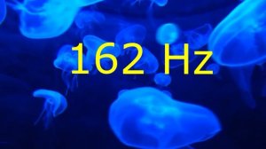 Звук для прочистки динамика. Как почистить динамик на Айфон?