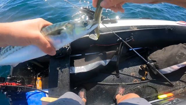SIB fishing a new spot with a big shark смотреть онлайн