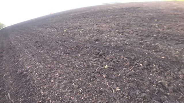 СЕВ Кукурузы /НАЧАЛО Посева Пропашных Культур 2023 / СЕВ Между Дождей смотреть онлайн