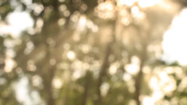 А мне приснился очень странный сон... Элла Нестерик смотреть онлайн