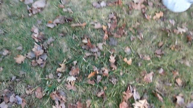 I FIND MY FIRST SILVER---IN FRONT YARD смотреть онлайн