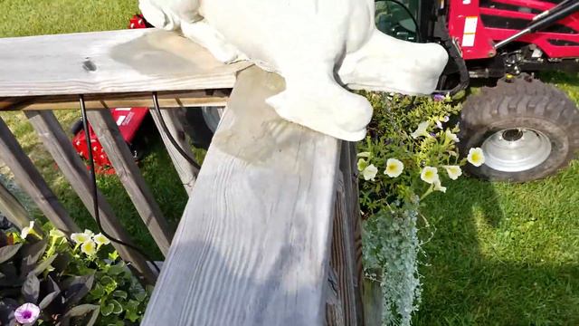Back Deck Flowers Container Update
