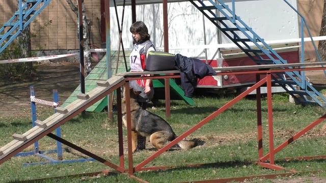 Чемпионат Московской области 2016 г. по ОКД и ЗКС. смотреть онлайн