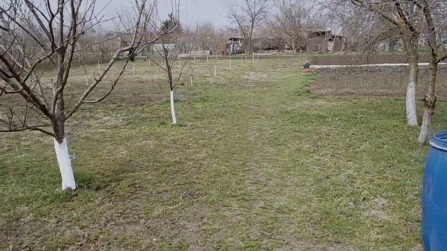 #585СИДИМ БЕЗ ЭЛЕКТРИЧЕСТВА/ОГОРОДНЫЕ ДЕЛА В РАЗГАРЕ/ПОСАДИЛА ЛУК