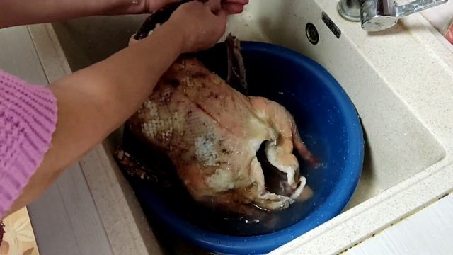 Вяленый Гусь, самый вкусный. смотреть онлайн