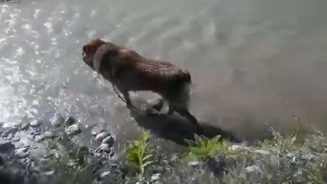 Щорс хулиганит в реке смотреть онлайн