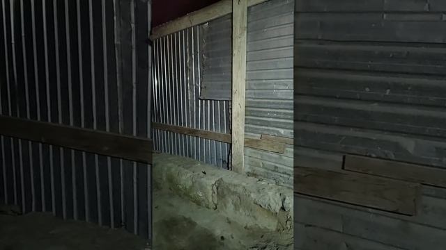 Паспорт потерял смотреть онлайн