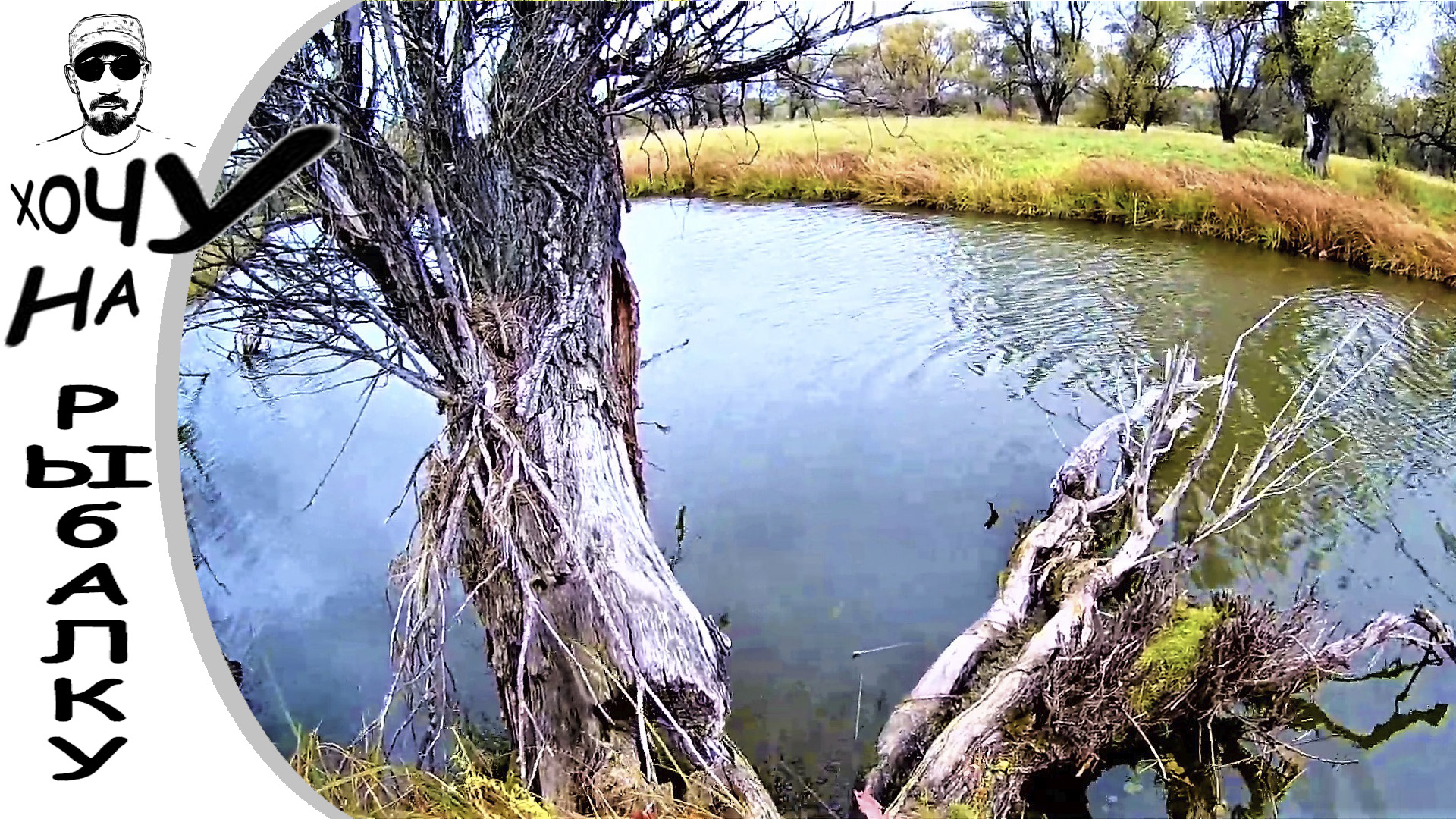 Попытка закрыть сезон. Щука на воблеры. Осенняя рыбалка. смотреть онлайн