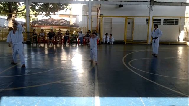 Primeiro Kata - Heian Shodan смотреть онлайн
