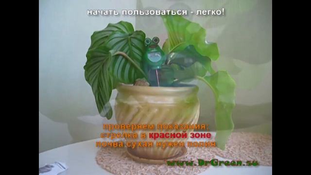 Прибор для измерения влажности почвы смотреть онлайн