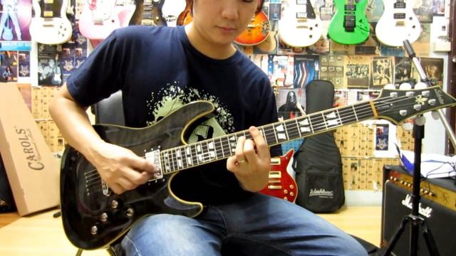 Schecter C-1 Custom Guitar Clean Sound смотреть онлайн
