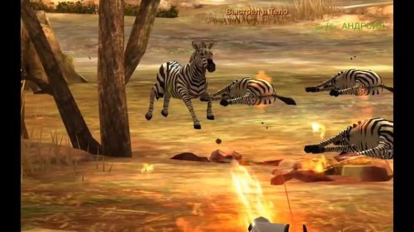 DEER HUNTER 2014//Северная Африка!