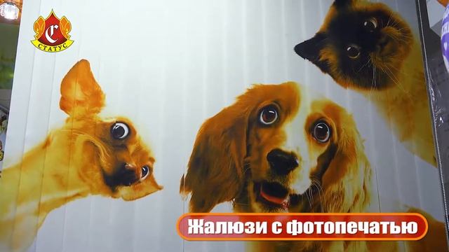 Жалюзи с фотопечатью от компании Статус смотреть онлайн