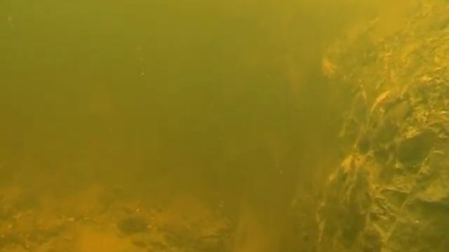 Подводная охота Зима 2005-06г смотреть онлайн