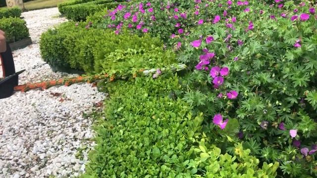 Stihl HSA 86 battery hedge cutter смотреть онлайн