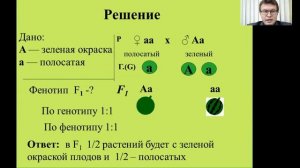 Биология. Второй закон Менделя. Решение задач