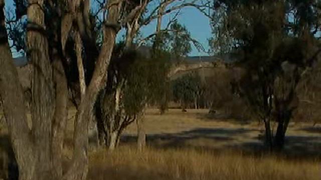 Исцеляющие звуки Природы смотреть онлайн