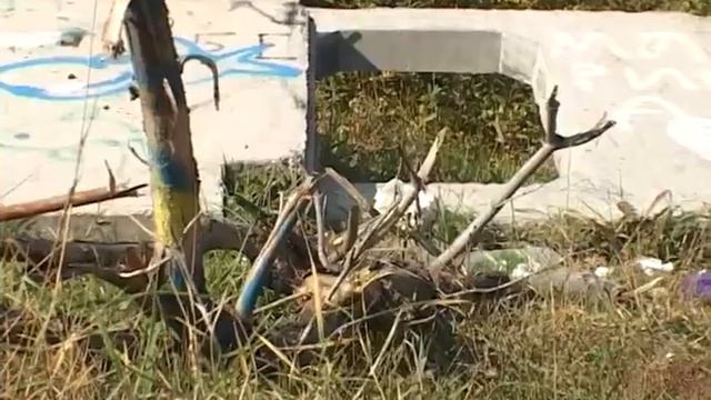 Жители частного сектора и Курганская генерирующая компания не поделили мусор смотреть онлайн
