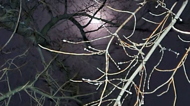 Веление я есмь присутствие благое смотреть онлайн