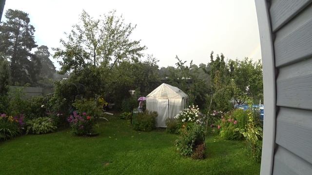 ВЛОГ Женя пропала! 5 августа 2018 смотреть онлайн