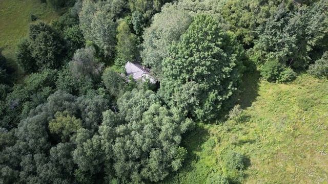 Смоленская область, Хиславичский район, д.Тереховка. 22.07.2022. смотреть онлайн