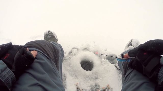 БЛЕСНА или БАЛАНСИР? Что сработает лучше? Рыбалка на лесном озере смотреть онлайн