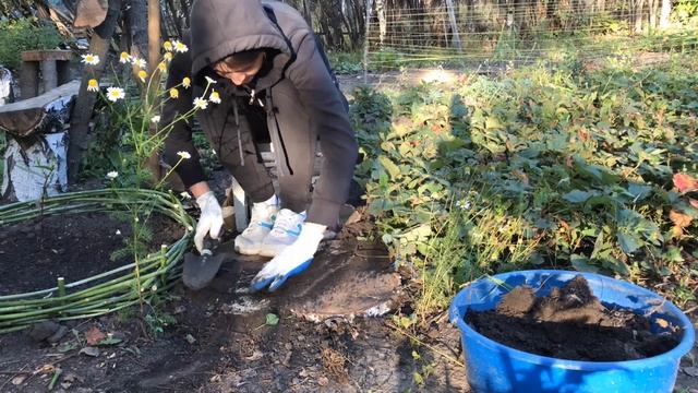 Садовые дорожки без затрат смотреть онлайн