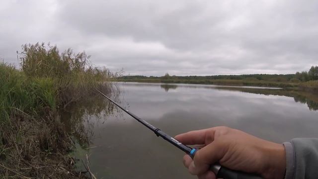 Ловля щуки на мелководье воблерами. Мой новый любимый кренк. смотреть онлайн