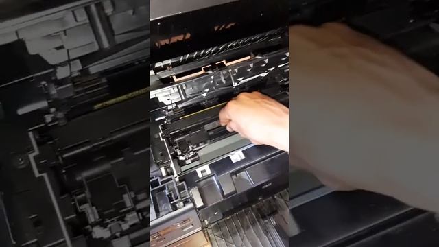 Принтер зажевал бумагу. Что делать?