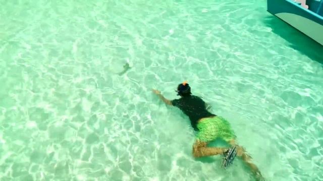 АКУЛЫ НА МАЛЬДИВАХ. ПОИСК ЗОЛОТА СРЕДИ АКУЛ! смотреть онлайн