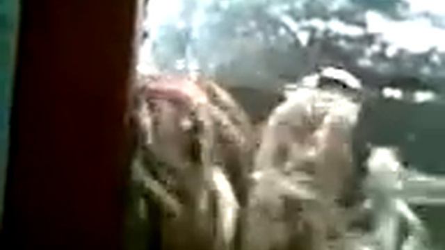 Разведение рыбы в промышленных условиях смотреть онлайн