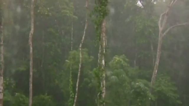 The Worst Geological Disasters In History | Desperate Hours | Earth Stories смотреть онлайн