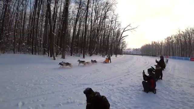 Samara 2019 класс SB1 смотреть онлайн