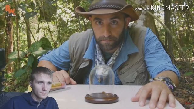 УКУС ОСЫ ПАЛАЧА #1 ЖЕСТЬ,САМЫЙ БОЛЕЗНЕННЫЙ УКУС смотреть онлайн