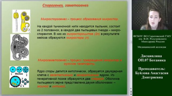 Ботаника лекция №8