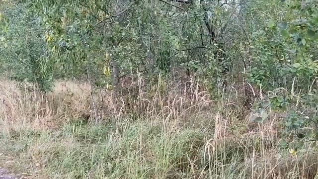 БЕСКОНЕЧНЫЙ КОНТРОЛЬ САФАРА! ОЛЬГА УРАЛОЧКА LIVE.