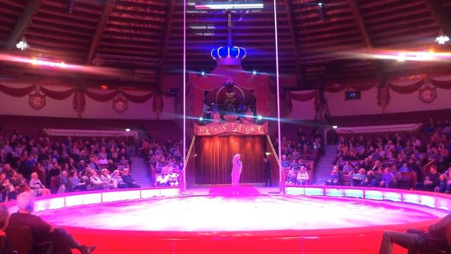 Bauer‘s Swaypoles at Circus Krone March 2019 смотреть онлайн