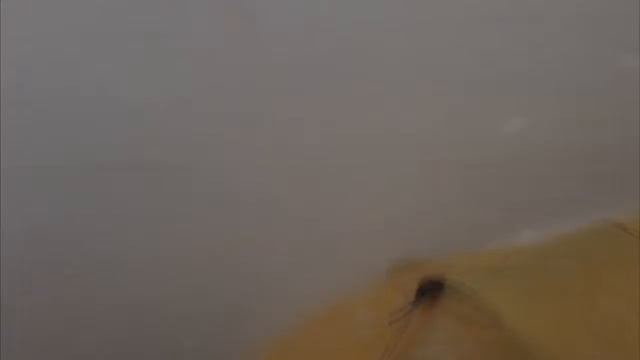 ШОК! Видео очевидцев лавины на Эвересте 27.04.2015