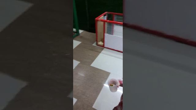 Путешествие Элизы. Мы посетили впервые в её жизни контактный зоопарк. смотреть онлайн